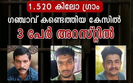 തൊടുപുഴയിൽ 1.520 കിലോ ഗ്രാം കഞ്ചാവ് പിടികൂടി; മൂന്ന് പേർ അറസ്റ്റിൽ