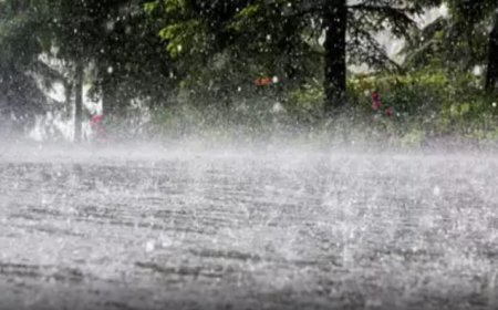 ശക്തമായ മഴ : ഇടുക്കിയിൽ മൂന്ന് ദിവസം ഓറഞ്ച് അലർട്ട്