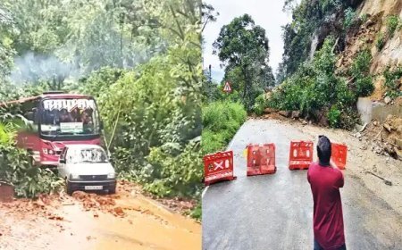 അടിമാലിയിൽ കനത്ത മഴയും കാറ്റും; കത്തിപ്പാറയിലും കല്ലാറിലും മണ്ണിടിച്ചിൽ