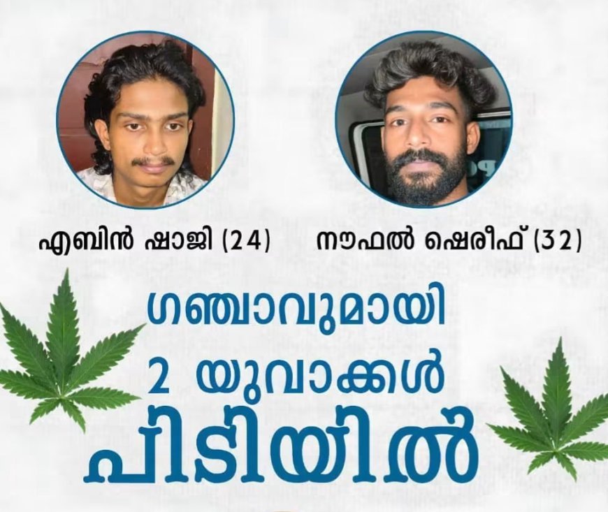 കഞ്ചാവുമായി രണ്ട് യുവാക്കൾ തൊടുപുഴയിൽ പിടിയിൽ