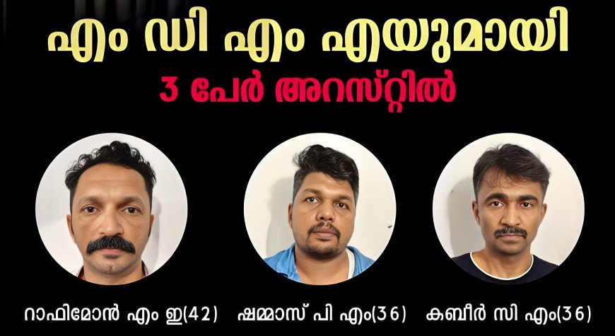 1.6 ഗ്രാം എം.ഡി.എം.എയുമായി മൂന്ന് പേർ കാളിയാർ പോലീസിന്റെ പിടിയിൽ