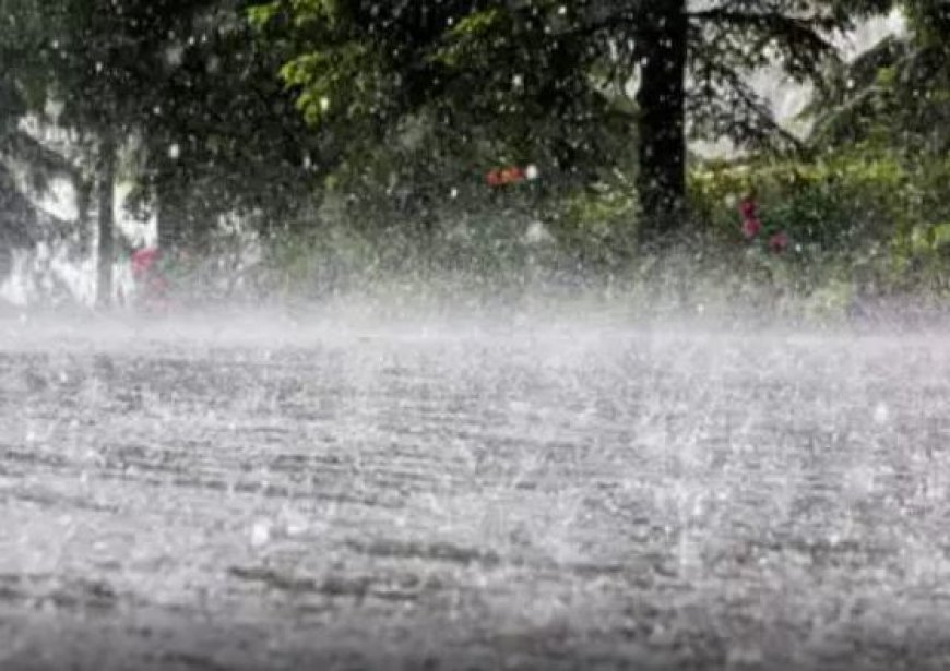 സംസ്ഥാനത്ത് ശക്തമായ മഴയ്ക്കും ഇടിമിന്നലിനും സാധ്യത; നാല് ജില്ലകളിൽ യെല്ലോ അലർട്ട്