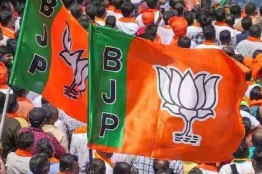 ഹർത്താൽ സിപിഎമ്മിന്റെ രാഷ്ട്രീയ പാപ്പരത്തം: ബിജെപി