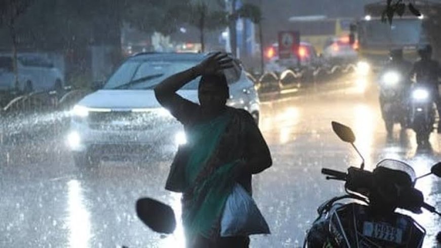 സംസ്ഥാനത്ത് ഇന്നും മഴക്ക് സാധ്യത