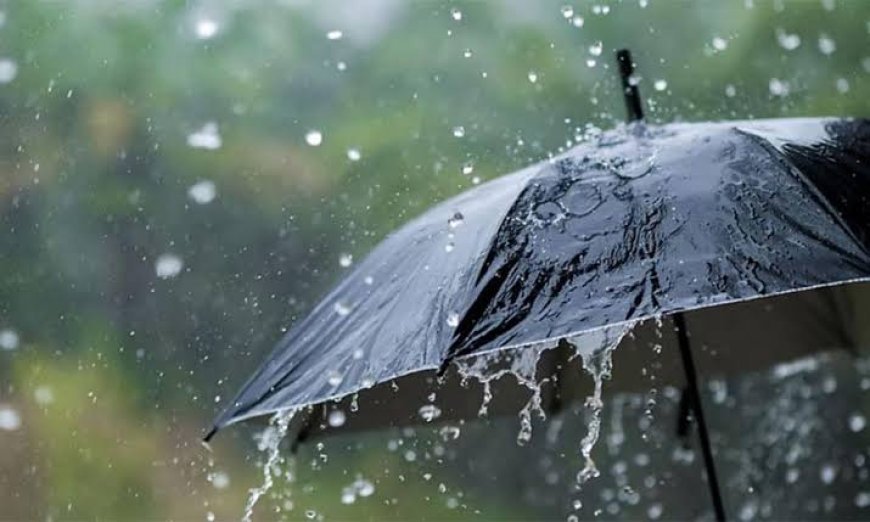 സംസ്ഥാനത്ത് തുലാവർഷം ശക്തമാകുന്നു; നാല് ദിവസം ശക്തമായ മഴയ്ക്ക് സാധ്യത