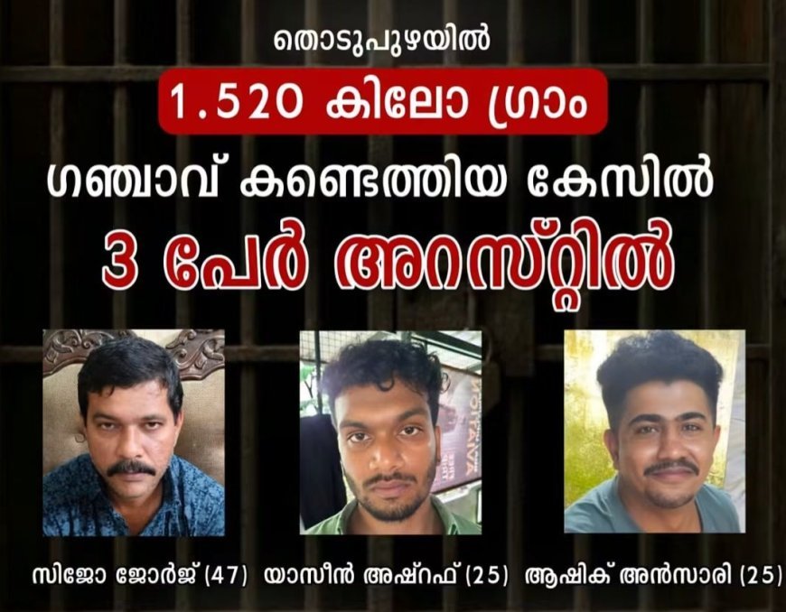 തൊടുപുഴയിൽ 1.520 കിലോ ഗ്രാം കഞ്ചാവ് പിടികൂടി; മൂന്ന് പേർ അറസ്റ്റിൽ